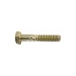 Tornillo de hoja paso 1/4" 1,25 mm longitud 38 mm MTD - CUB CADET - YARD-MAN - BLANCO - 020717
