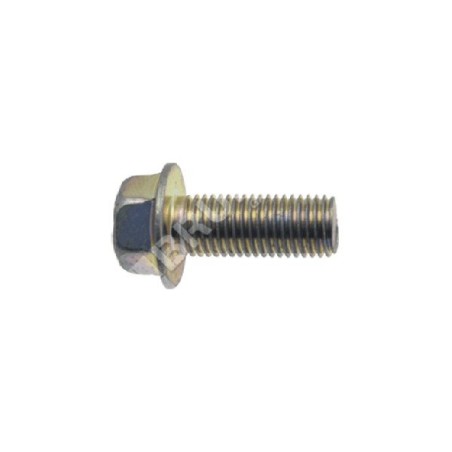 Messerschraubensteigung 1,25 mm, Länge 25 mm für MAORI-Rasenmäher – 019974 | Newgardenstore.eu