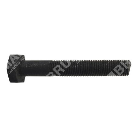 Blade screw 3/8" pitch 1.00 mm length 65 mm for GIANS lawnmower - 019273 | Newgardenstore.eu