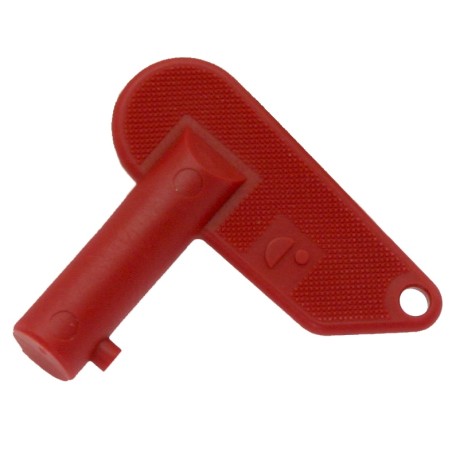 Llave de repuesto para interruptor de corte de batería 330221 330222 | Newgardenstore.eu