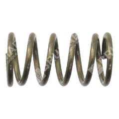 Molla chiavetta semovenza per rasaerba COMPATIBILE - 055081