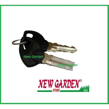 Key for starter box 310331 GGP 310378 118210022/0 | Newgardenstore.eu