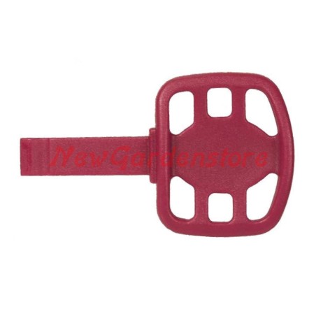 Llave para lanzanieves con motor TECUMSEH 310339 | Newgardenstore.eu