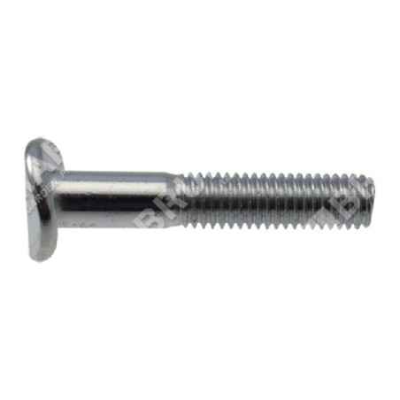 Vis de bouton de fixation de poignée supérieure pour tondeuse à gazon NEWTON - 049288 | Newgardenstore.eu