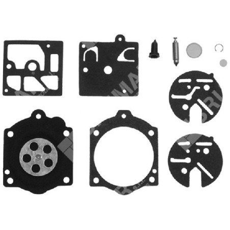 Repair kit for WALBRO K10-HDC carburettors - 000676 | Newgardenstore.eu