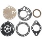 Série de membranes pour carburateurs TILLOTSON DG-5HL - 006619
