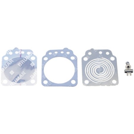 Repair kit for WALBRO K6-WYTA carburettors - 057147 | Newgardenstore.eu