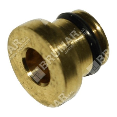 Gicleur de carburateur pour moteurs BRIGGS & STRATTON - 049747 | Newgardenstore.eu