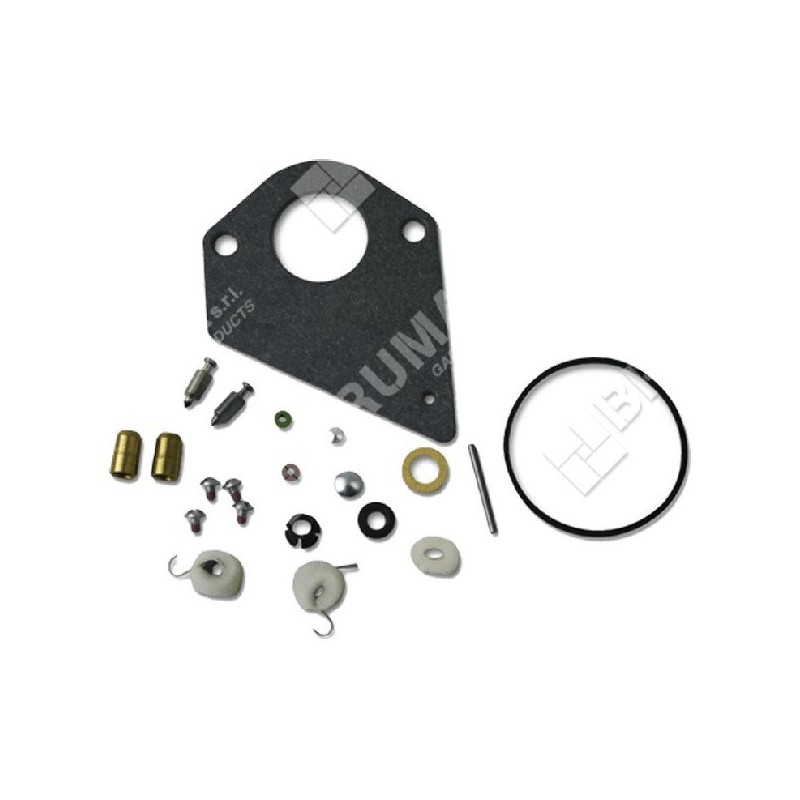 Reparatursatz für BRIGGS & STRATTON Vergaser 497535 - 495799 - 690192 - 026247 Reparatursatz für BRIGGS & STRATTON Vergaser 497535 - 495799 - 690192 - 026247