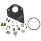 Kit de réparation pour carburateurs BRIGGS & STRATTON 497535 - 495799 - 690192 - 026247 Kit de réparation pour carburateurs BRIGGS & STRATTON 497535 - 495799 - 690192 - 026247
