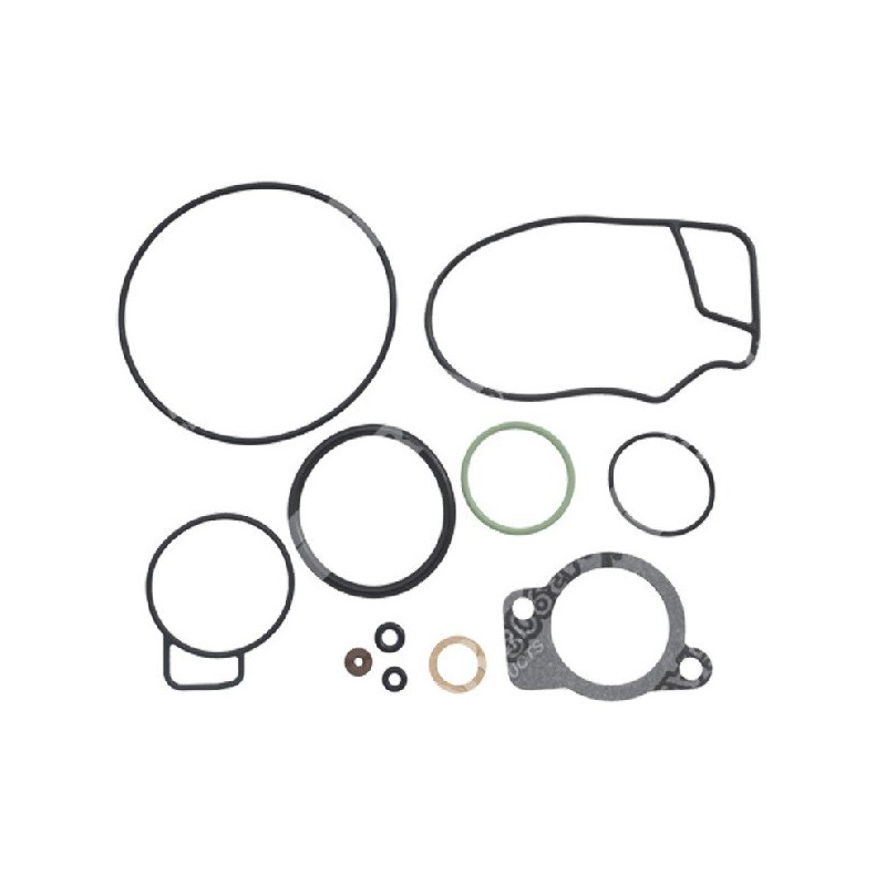 Reparatursatz für DELL'ORTO Vergaser 5262100 77 - 022418