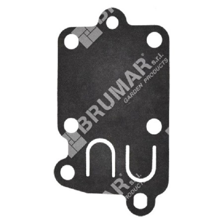 Diaphragme pour carburateurs BRIGGS & STRATTON 272538S - 020220 | Newgardenstore.eu