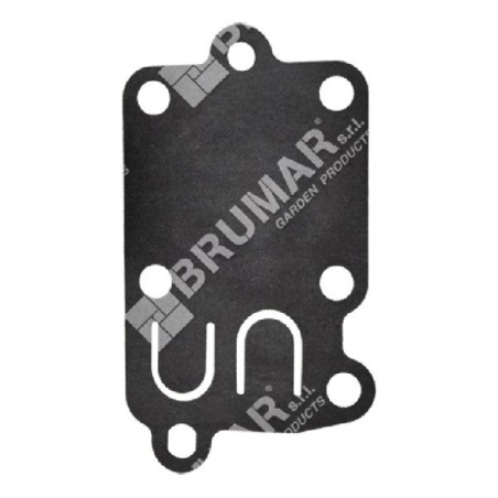 Membrana per carburatori BRIGGS & STRATTON 4168 COMPATIBILE - 020123 | Newgardenstore.eu