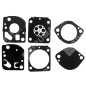 Serie Diafragma para carburadores ZAMA GND-55 / GND-91 - 015365