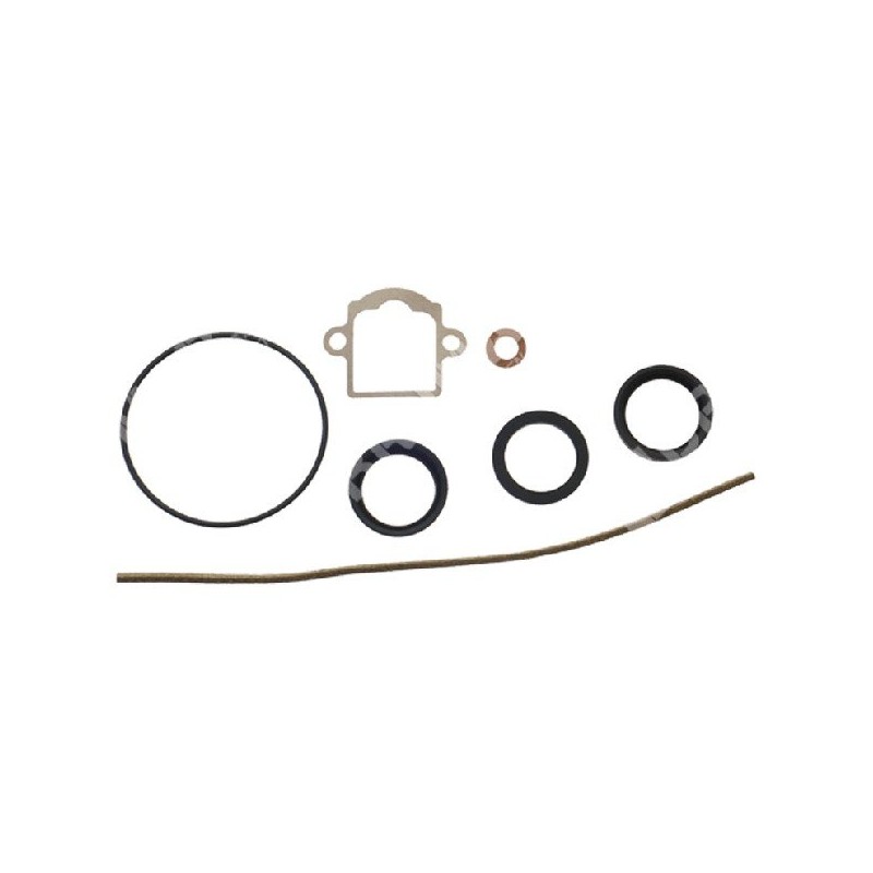 Reparatursatz für DELL'ORTO Vergaser 52579.77 - 5257900.77 - 008423