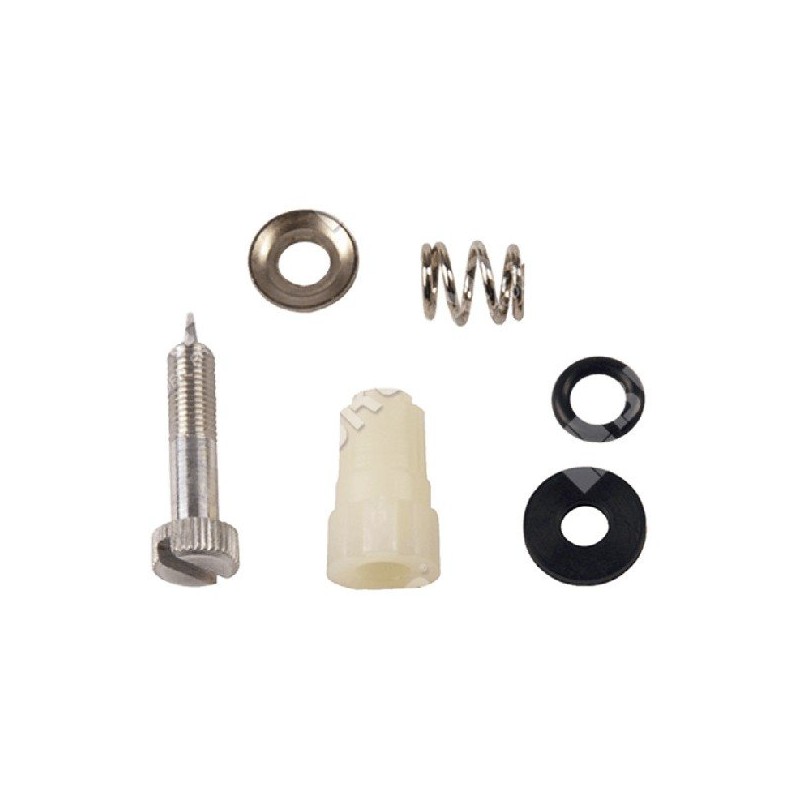 Adjusting screw kit for BRIGGS & STRATTON carburettors 395508 - 006666
