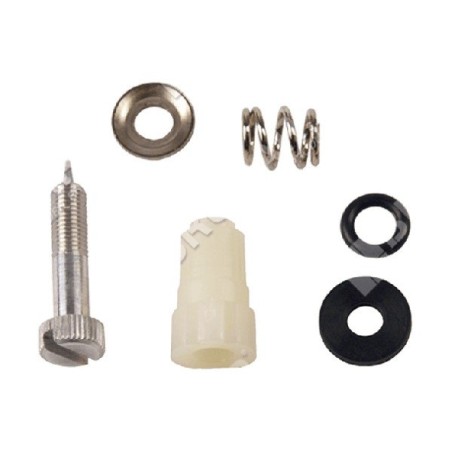 Kit Vite regolazione per carburatori BRIGGS & STRATTON 395508 COMPATIBILE - 006666 | Newgardenstore.eu