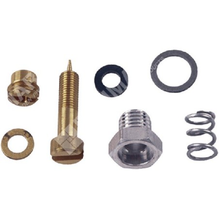 Kit Vite regolazione per carburatori BRIGGS & STRATTON 299059 COMPATIBILE - 006665 | Newgardenstore.eu