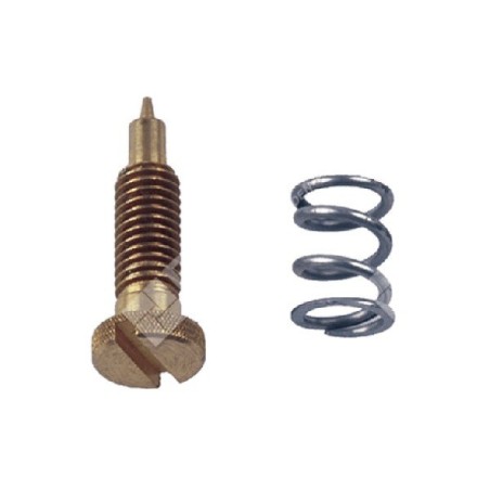 Kit Vite regolazione per carburatori BRIGGS & STRATTON 292681 COMPATIBILE - 006664 | Newgardenstore.eu