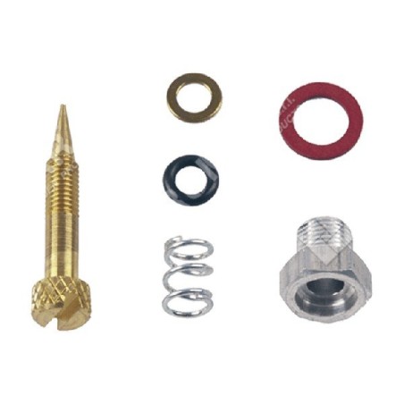 Kit Vite regolazione per carburatori BRIGGS & STRATTON 99525 COMPATIBILE - 006663 | Newgardenstore.eu