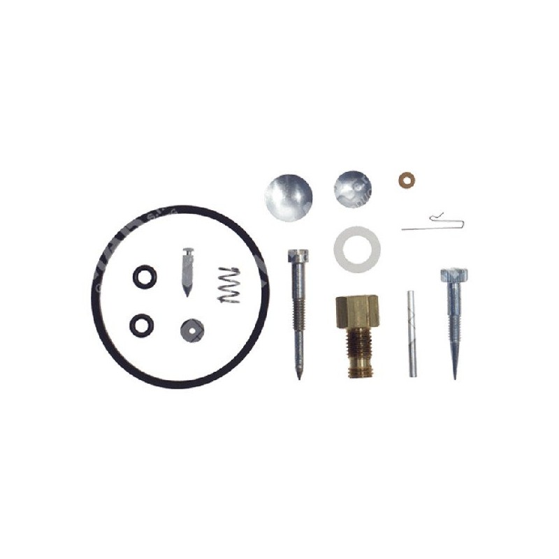 Reparatursatz für ASPERA - TECUMSEH - TECNAMOTOR Vergaser 31840 - 006656