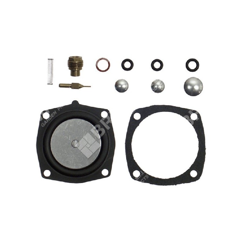 Reparatursatz für ASPERA - TECUMSEH - TECNAMOTOR Vergaser 631893 - 006654