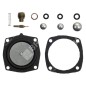 Reparatursatz für ASPERA - TECUMSEH - TECNAMOTOR Vergaser 631893 - 006654