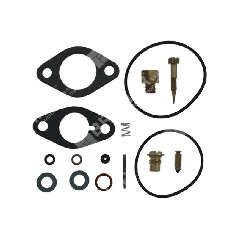 Reparatursatz für ASPERA - TECUMSEH - TECNAMOTOR Vergaser 29155 - 29157 - 30359 - 31390 - 006653
