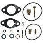 Reparatursatz für ASPERA - TECUMSEH - TECNAMOTOR Vergaser 29155 - 29157 - 30359 - 31390 - 006653