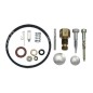 Repair kit for ASPERA - TECUMSEH - TECNAMOTOR carburetors 631584 - 631839 - 006652