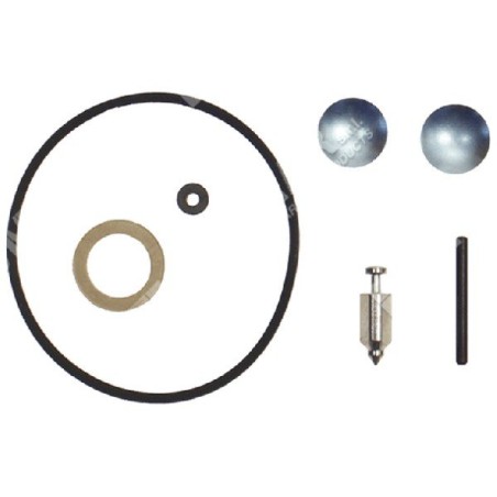 Kit de reparación para carburadores WALBRO - 006649 | Newgardenstore.eu