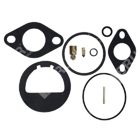 Reparatursatz für KOHLER-Vergaser 2575701 - 275776 - 006648 | Newgardenstore.eu