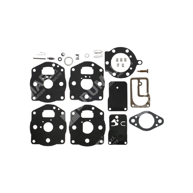 Kit de reparación para carburadores BRIGGS & STRATTON 491539 - 394502 - 006646