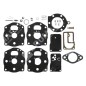 Kit de reparación para carburadores BRIGGS & STRATTON 491539 - 394502 - 006646
