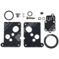 Reparatursatz für BRIGGS & STRATTON Vergaser 494625 - 006644