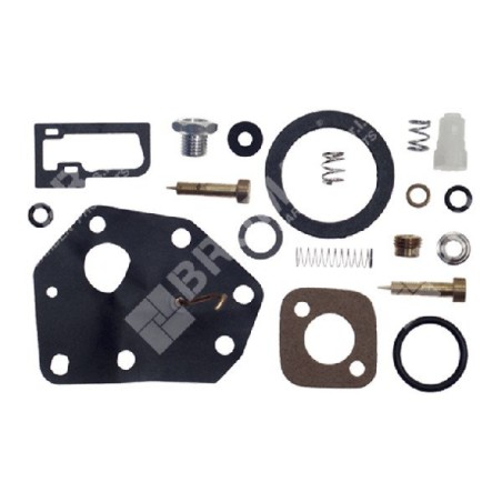 Kit de réparation pour carburateurs BRIGGS & STRATTON 494622 - 006641 | Newgardenstore.eu