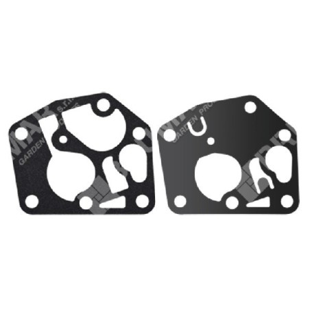 Diaphragm Series for BRIGGS & STRATTON carburettors 495770 - 005389 | Newgardenstore.eu