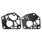 Série de membranes pour carburateurs BRIGGS & STRATTON 495770 - 005389