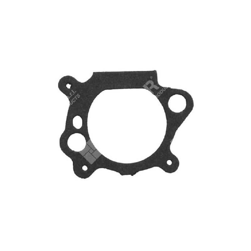 Joint de filtre pour carburateurs BRIGGS & STRATTON 272653 - 795629 - 003538