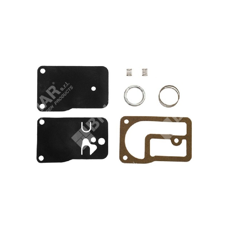 Reparatursatz für BRIGGS & STRATTON Vergaser 393397 - 000094