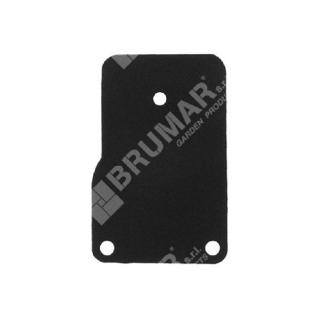 Membrana per carburatori BRIGGS & STRATTON 270989 COMPATIBILE - 000092 | Newgardenstore.eu