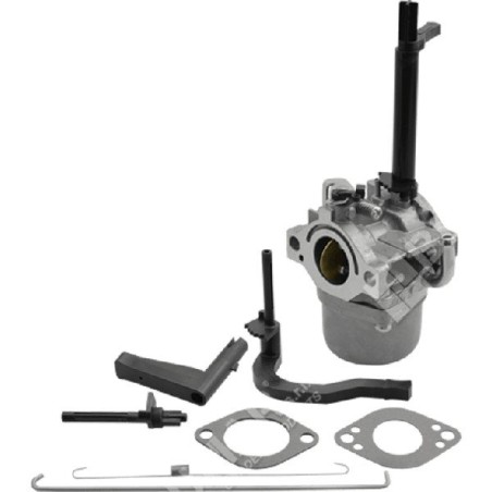 Carburador de cubeta para motores BRIGGS & STRATTON 591378 - 050066 | Newgardenstore.eu
