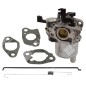 Schüsselvergaser für BRIGGS & STRATTON-Motoren 593412 - 047958
