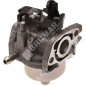 Carburateur à cuve pour tondeuse à gazon TONINO LAMBORGHINI 77006006 - 047207
