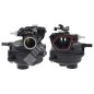 Carburateur à cuve pour moteurs BRIGGS & STRATTON 595544 - 046105