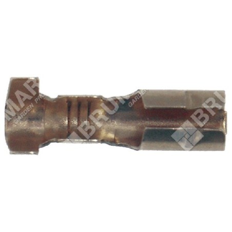 Terminal tipo FIAT hembra COMPATIBLE - 009235 | Newgardenstore.eu