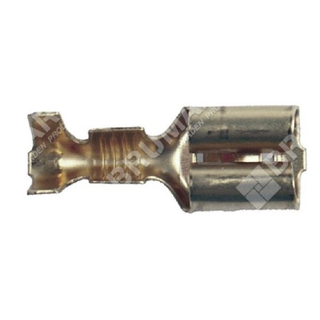 Terminal tipo faston hembra COMPATIBLE - 009231 | Newgardenstore.eu