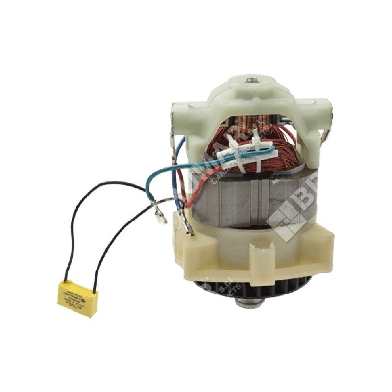 Motore elettrico per rasaerba MAORI COMPATIBILE - 048632