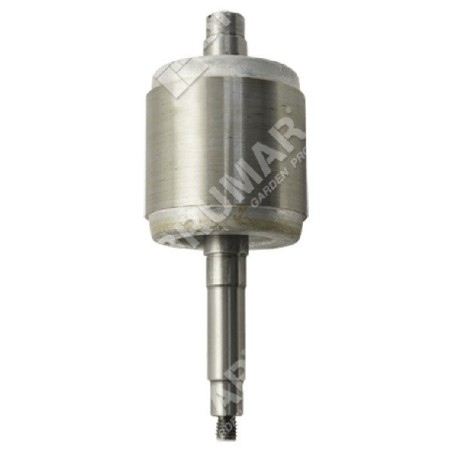 Rotor ELPUMPS COMPATIBLES - 047437 | Newgardenstore.eu