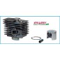 Cylinder and piston kit compatible chainsaw P34 38mm 395036 GGP 8540600